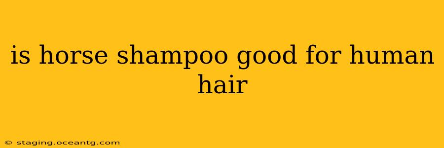 is horse shampoo good for human hair