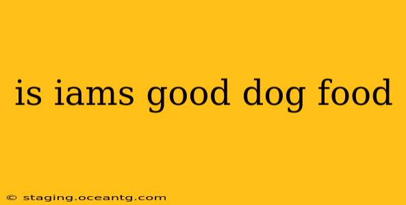 is iams good dog food