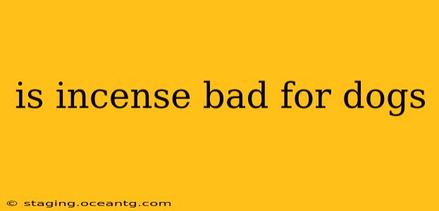 is incense bad for dogs