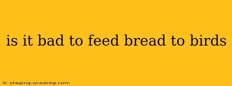 is it bad to feed bread to birds