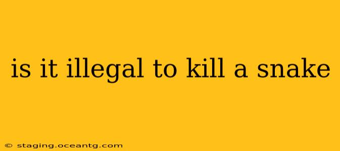 is it illegal to kill a snake