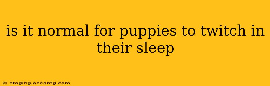is it normal for puppies to twitch in their sleep