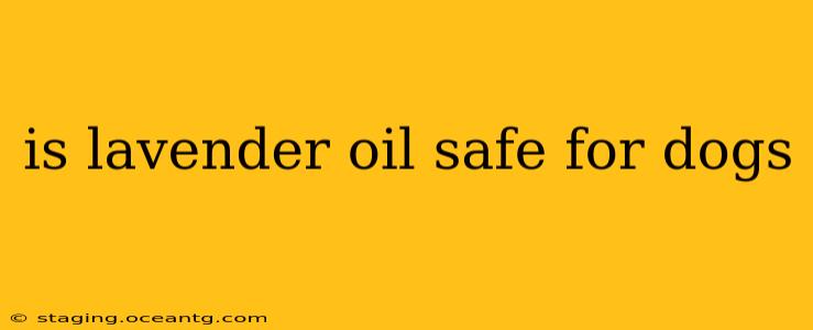 is lavender oil safe for dogs