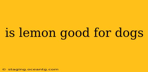 is lemon good for dogs