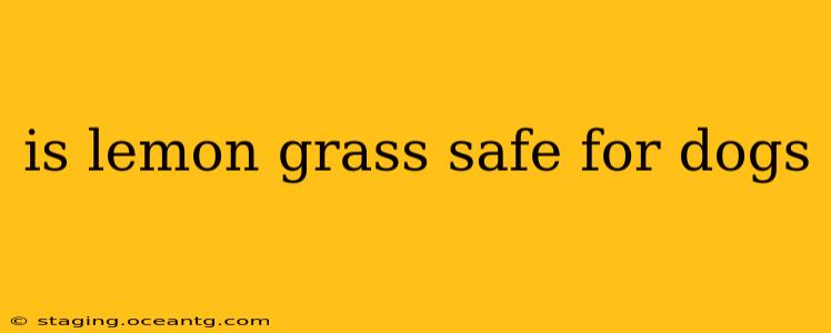 is lemon grass safe for dogs