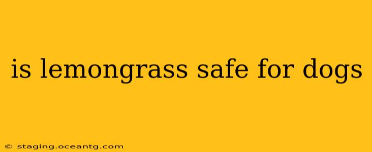 is lemongrass safe for dogs