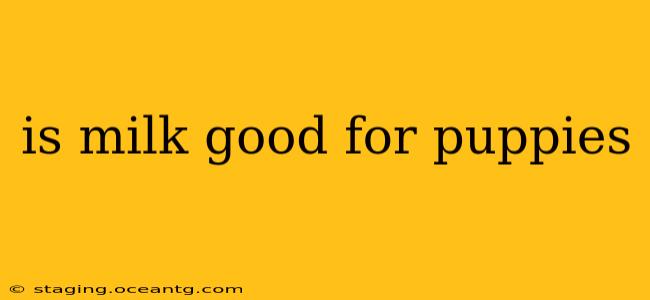 is milk good for puppies