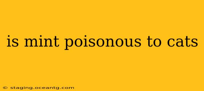 is mint poisonous to cats