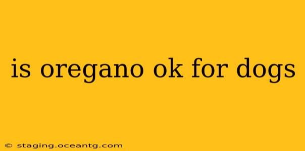 is oregano ok for dogs