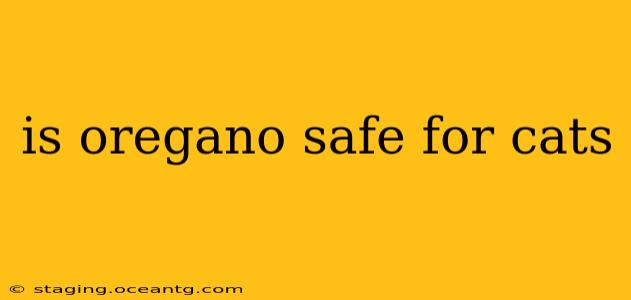 is oregano safe for cats