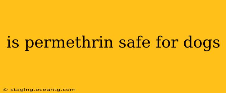 is permethrin safe for dogs