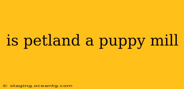 is petland a puppy mill
