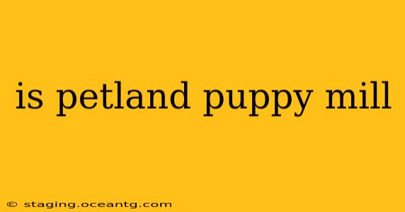 is petland puppy mill