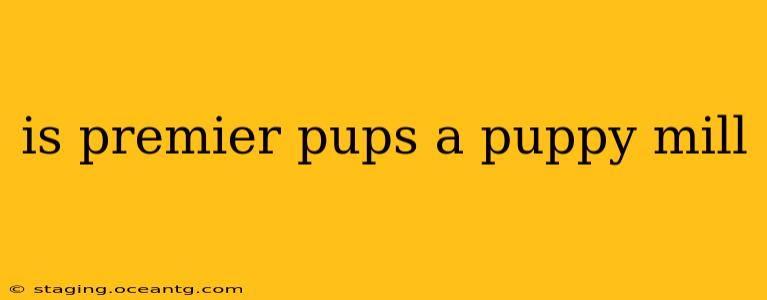 is premier pups a puppy mill