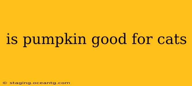 is pumpkin good for cats