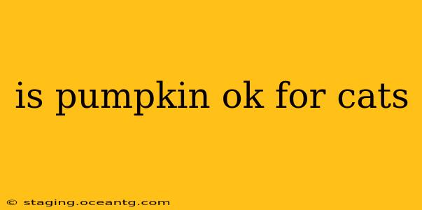 is pumpkin ok for cats
