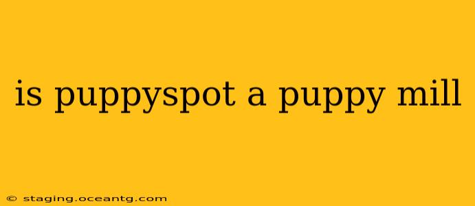 is puppyspot a puppy mill