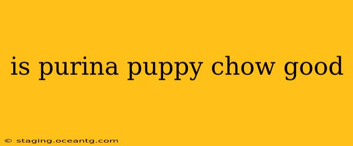 is purina puppy chow good