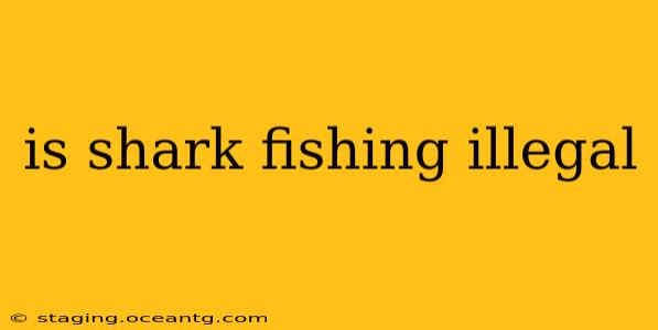 is shark fishing illegal