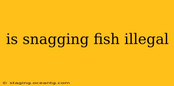 is snagging fish illegal