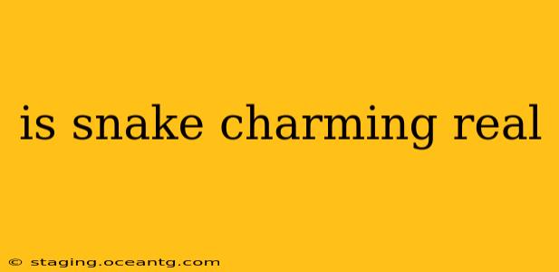 is snake charming real