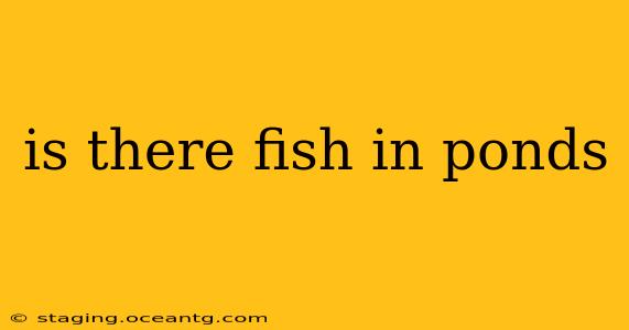 is there fish in ponds
