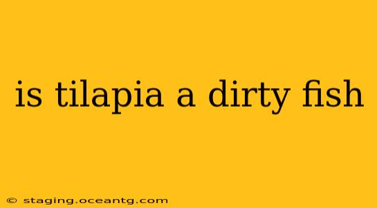 is tilapia a dirty fish