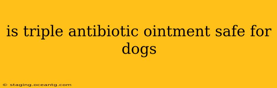 is triple antibiotic ointment safe for dogs