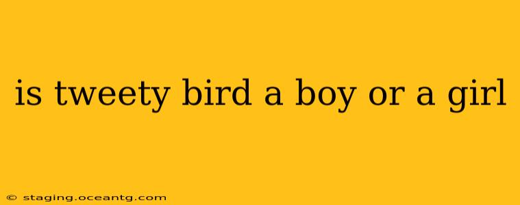is tweety bird a boy or a girl