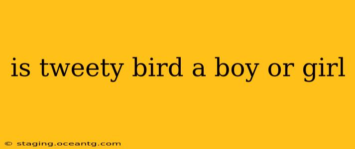 is tweety bird a boy or girl
