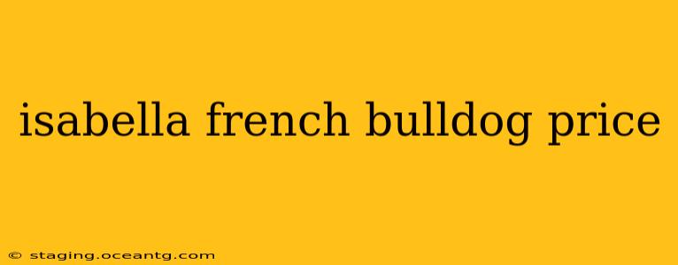 isabella french bulldog price