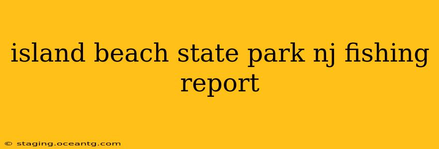 island beach state park nj fishing report