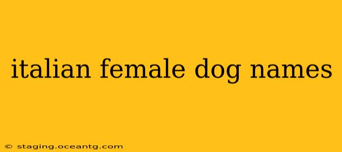italian female dog names