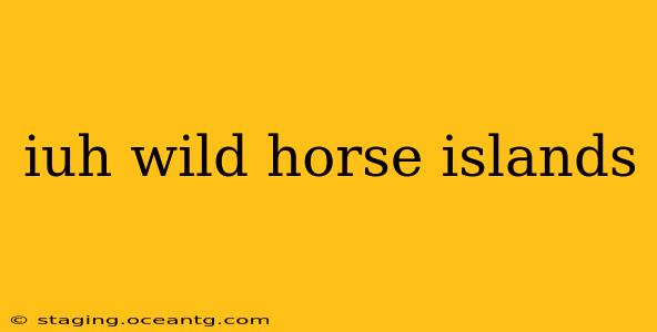 iuh wild horse islands