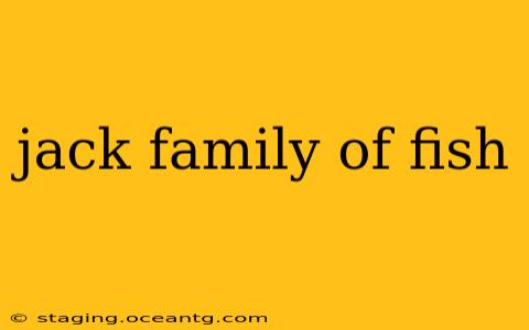 jack family of fish