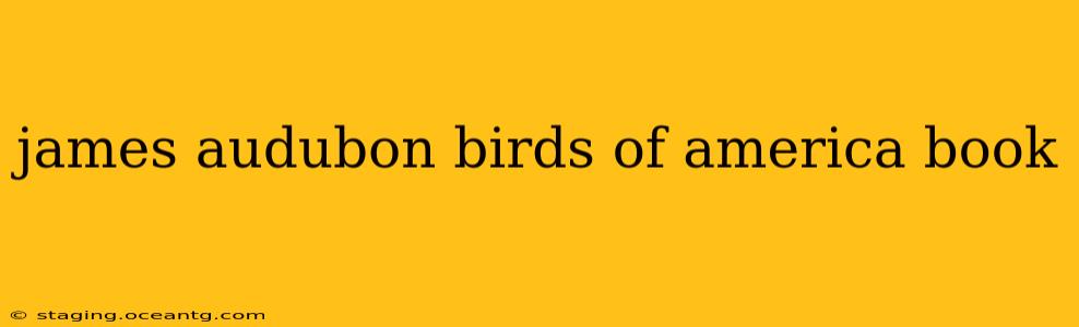 james audubon birds of america book