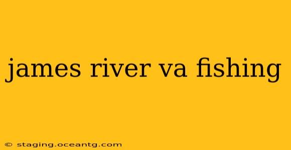 james river va fishing