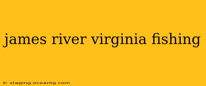 james river virginia fishing