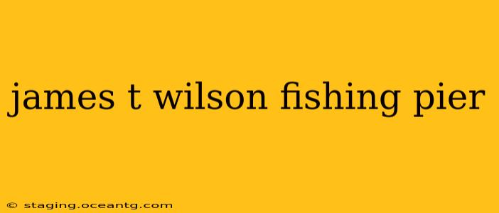 james t wilson fishing pier