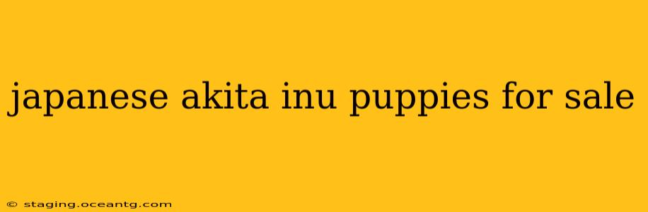 japanese akita inu puppies for sale