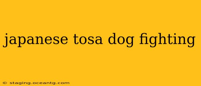japanese tosa dog fighting
