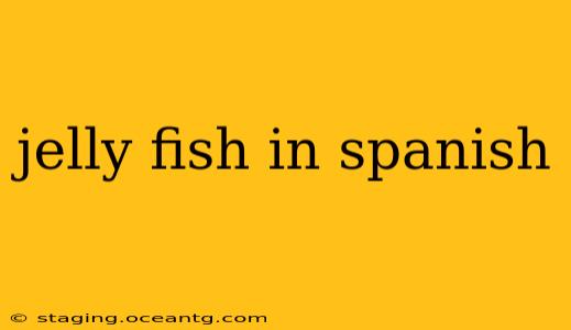 jelly fish in spanish