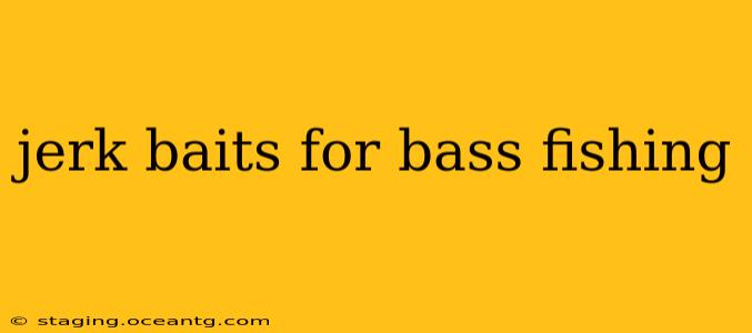 jerk baits for bass fishing