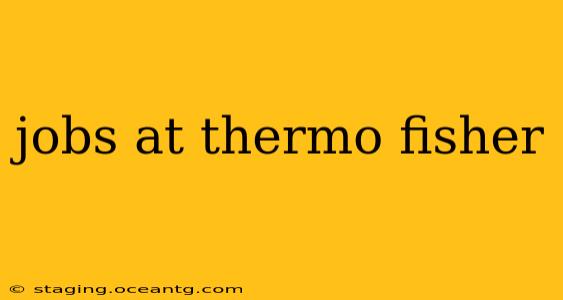 jobs at thermo fisher