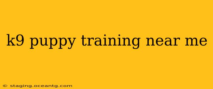 k9 puppy training near me