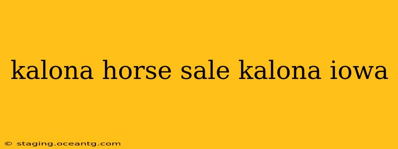 kalona horse sale kalona iowa