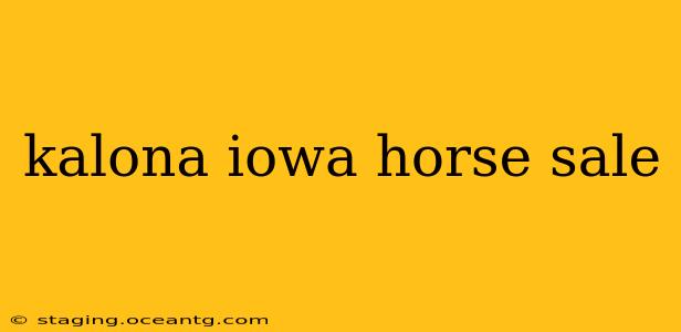kalona iowa horse sale