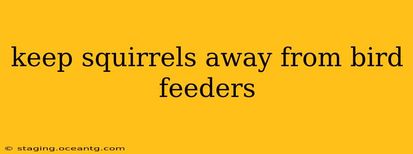 keep squirrels away from bird feeders