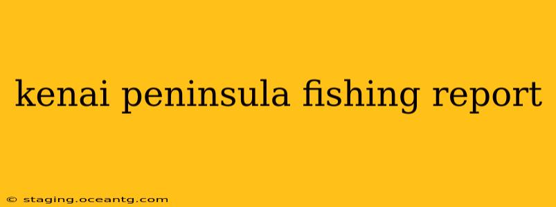 kenai peninsula fishing report