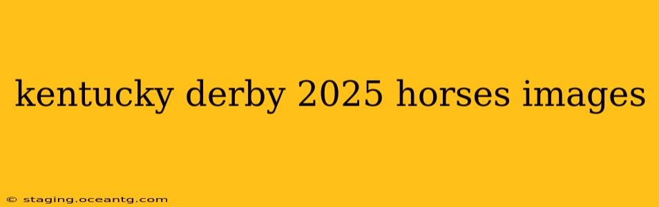 kentucky derby 2025 horses images